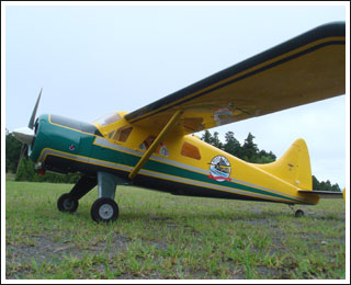 DH-2 �ӡ��С�