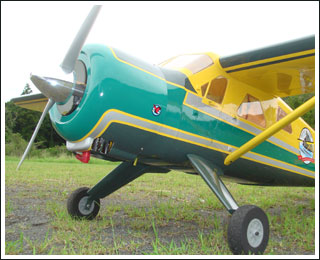 DH-2 �ӡ��С�